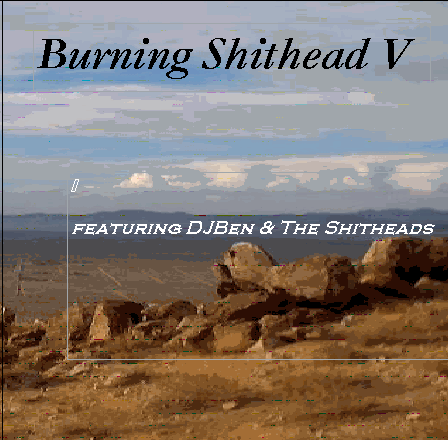 Inspired by the power of nature, DJ Ben and the Shitheads forged new musical ground at Burning Shithead V.